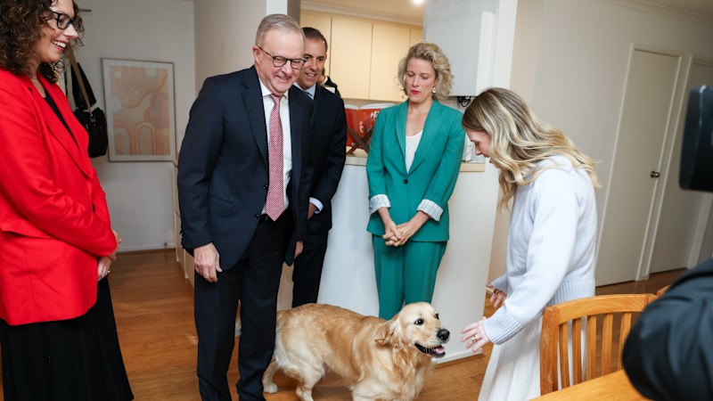 Labor's housing revamp fails to convince voters