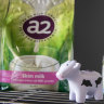 ‘Too big to ignore’: A2 Milk commits to China despite plunging profits