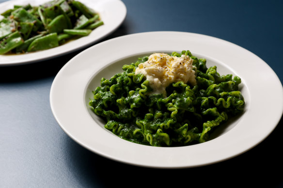 Go-to dish: Vibrant green mafalde corte with cavalo nero pesto under a cloud of stracciatella.