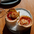 Scallops in the winter sunshine at Cirrus Dining in Barangaroo.