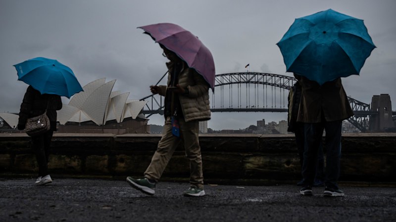 Flash flooding, thunderstorm warning for Sydney region