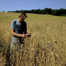 Andy, half of Groove Armada, is out standing in his field. Literally