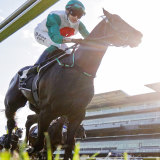 Profondo wins the Spring Champion Stakes.