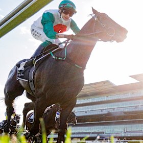 Profondo wins the Spring Champion Stakes.