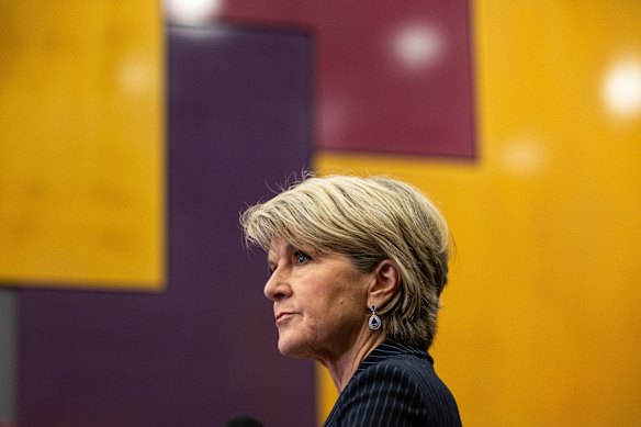 Julie Bishop says she inherited a financial mess.