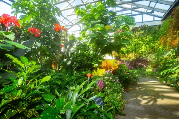 The town’s Butterfly House is quite magical.