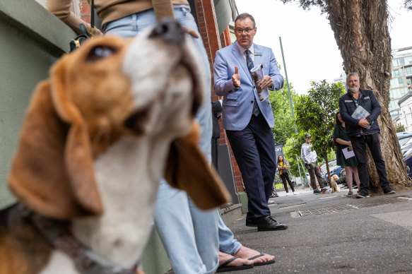 Mr Pepper watches on as the auction at 23/120 Cambridge Street gets underway.