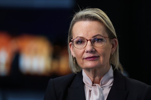 Opposition Leader Sussan Ley: a test for her party, and the country.
