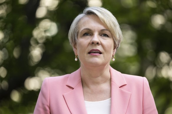 Tanya Plibersek is expected to say the government is prepared to regulate the plastics-recycling industry if needed.