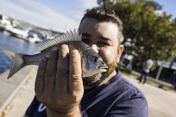 Lucas Hanger catches a fish before throwing it back in the water in Docklands.