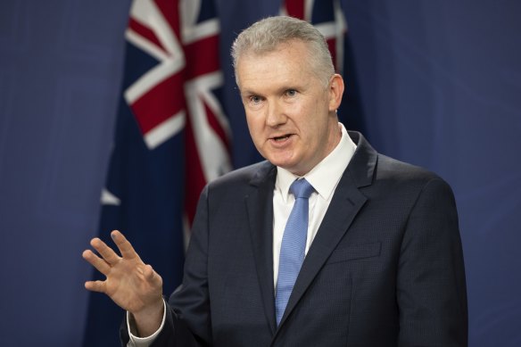 Leader of the House Tony Burke. 