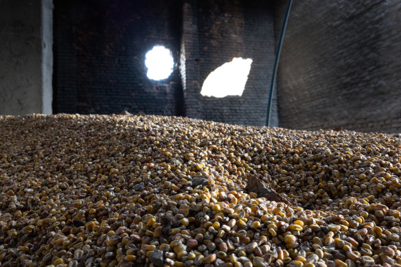 Corn lies scattered in a grain warehouse damaged by Russian tanks in Cherkska Lozova, Ukraine. 