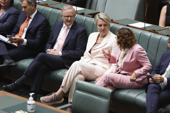 Prime Minister Anthony Albanese in parliament today.