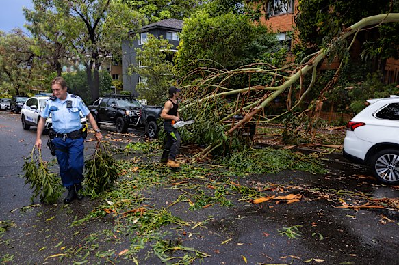 Police and residents clear the road at Wyadra Street, Curl Curl, after the thunderstorm passed over the northern beaches.