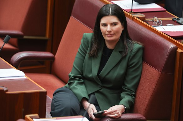 Labor senator Marielle Smith.