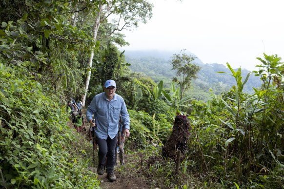 Albanese heads up a steep section of the Kokoda Track.