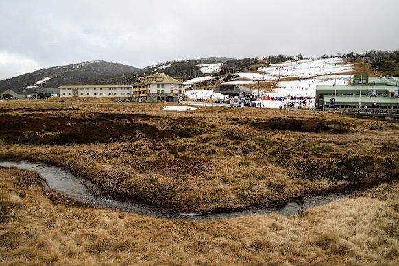 Snow guns at Perisher are struggling to build a bed of snow in warm, rainy conditions.