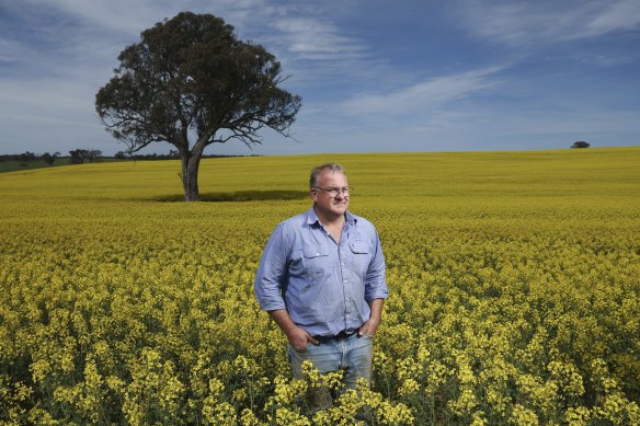 Sam Kelly surveys the canola crop at his Red Hill property at Bowning, NSW.
