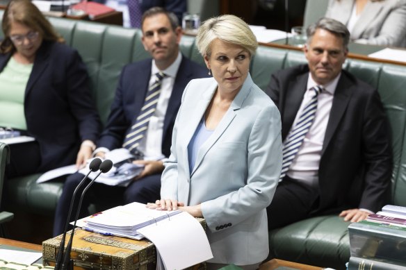 Minister for the Environment and Water Tanya Plibersek.