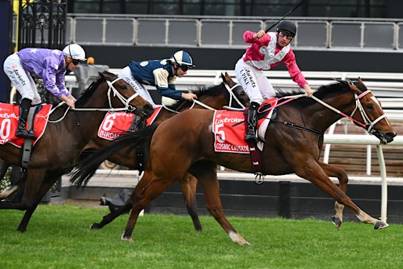 Cosmic Crusader wins the first Cox Plate run at Flemington.