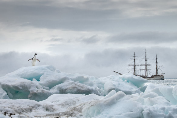 Sail to the far south on the tall ship Bark Europa.