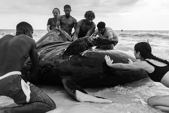 Winner of the Human Connection Award: People and Planet Ocean category.