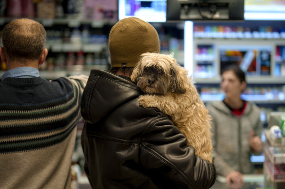 It could be argued that a dog who “tends to sit close to, or in contact with you” is not problematic at all, says Professor Daniel Mills.
