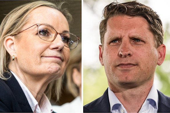 Sussan Ley is likely to remain Liberal leader, at least for now, after Andrew Hastie withdrew from contention.