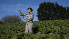 Chef Eilish Malony of The What If Society gathering rhubarb at Moonacres Farm, Wildes Meadow.