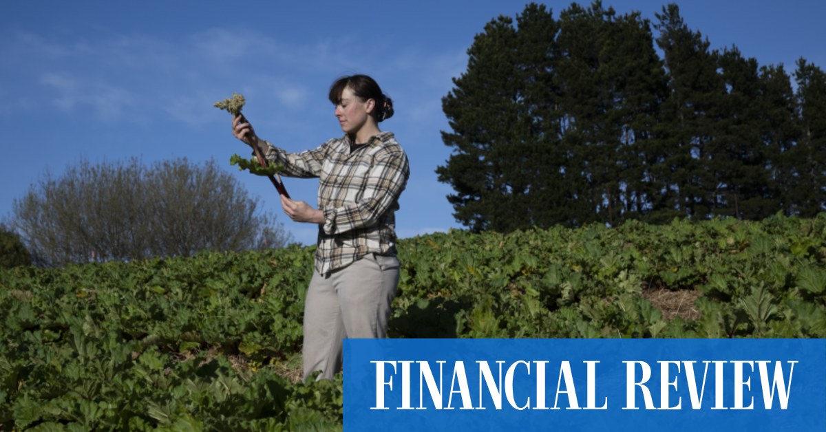 From paddock to purpose Chef Eilish Maloney, of The Studio in Moss