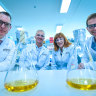 Monash University has been ranked as the world’s top university in pharmacy and pharmacology. L-R Professor Chris Langmead, Professor Arthur Christopoulos, Professor Margaret Gardner and Professor Chris Porter.