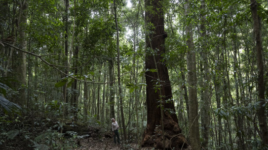 Ranger Martin Smith in Bindarri National Park.