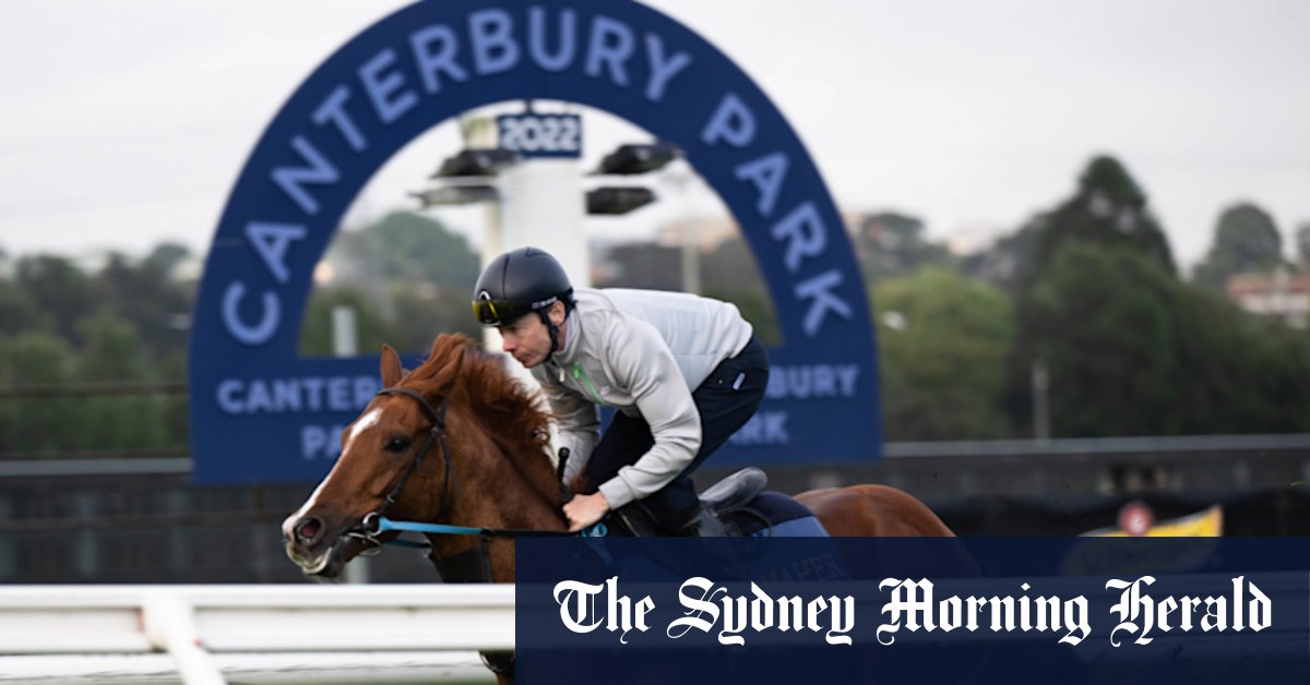 Race-by-race tips and preview for Canterbury on Wednesday