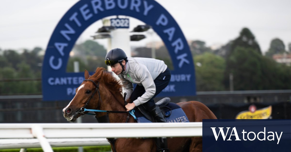 Race-by-race preview and tips for Canterbury on Wednesday