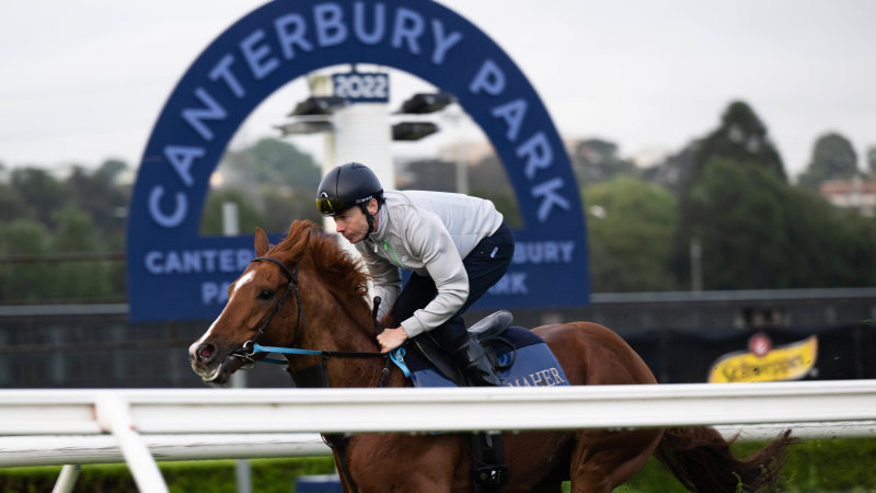 Race-by-race preview and tips for Canterbury on Wednesday