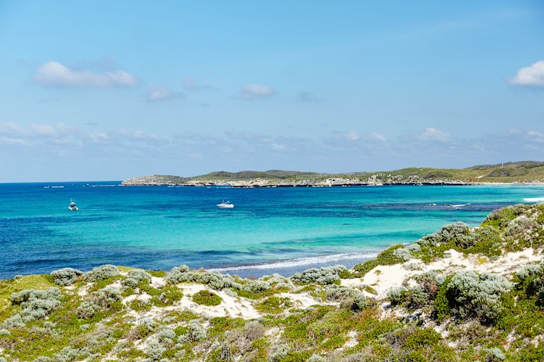 Pristine Salmon Bay is brimming with marine life.