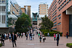 The study was led by the University of New South Wales Sydney Centre for Healthy Brain Ageing.
