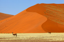 Armchair travel has rarely looked this colourful: Springbok in the red sand dunes in Namibia's Naukluft National Park, in Lonely Planet's latest release, "Travel by Colour".