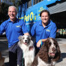 The northern beaches brothers who won from Woolies’ $590m bet on pets
