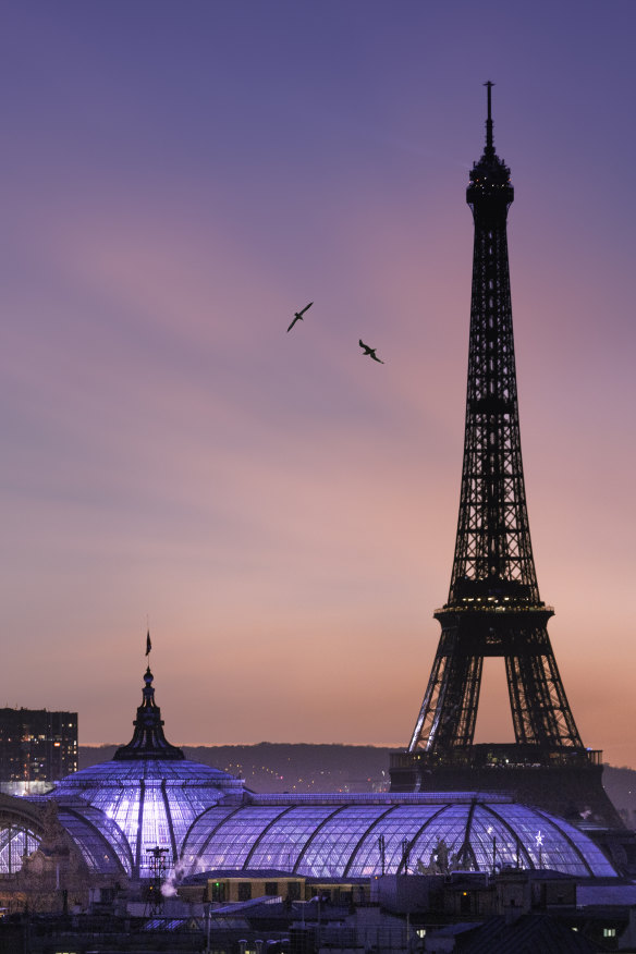 Refurbishment of the Grand Palais, near the Eiffel Tower in Paris, is expected to cost more than $800 million.