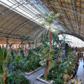 The tropical forest inside the train station of Atocha. It is the largest railway station in Madrid.