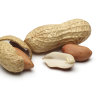 First peanut allergy drug approved by authorities in the US