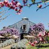 The Lowe Cellar Door is a perennial Mudgee favourite.