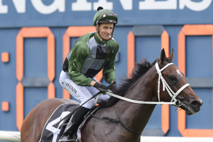 Slipper dreaming: Blake Shinn returns  on Yes Yes Yes after his sweeping Todman Stakes victory.