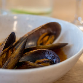 The go-to dish: Mussels in a warm tomato water.