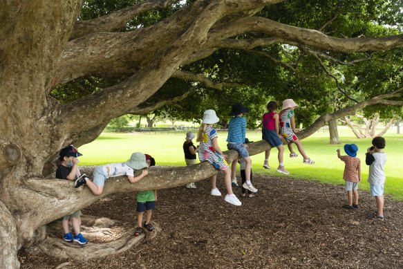 Children from a Lane Cove Vacation Care play in the Royal Botanic Gardens.