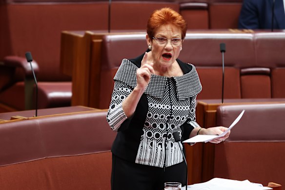 One Nation leader Pauline Hanson.