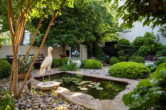 The front garden of a South Yarra project.