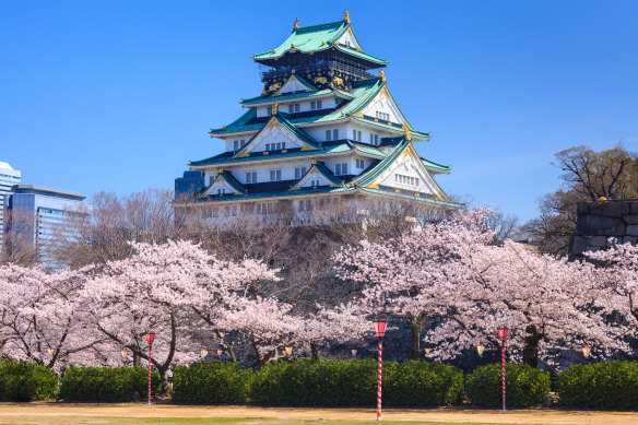 Osaka Castle comes alive in blossom season.