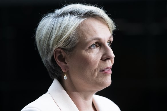 Environment Minister Tanya Plibersek’s proposed Environment Protection Agency is the second part of her three-stage reform agenda.